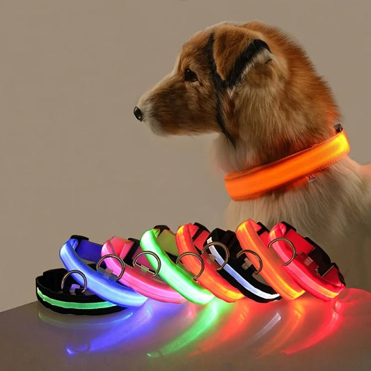 LED Glow-in-the-Dark Dog Leash & Collar – Nylon Night Safety Flashing Pet Leash