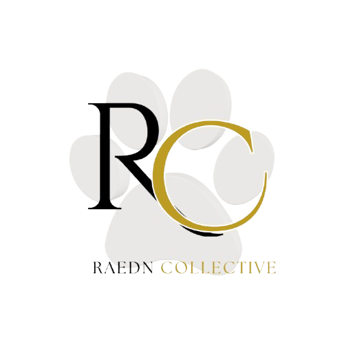 RAEDN Collective